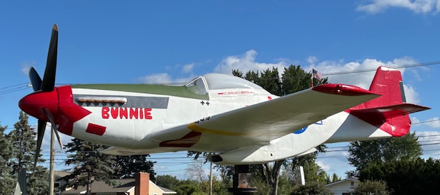 NORTH AMERICAN AVIATION P-51D MUSTANG (REPLICA)